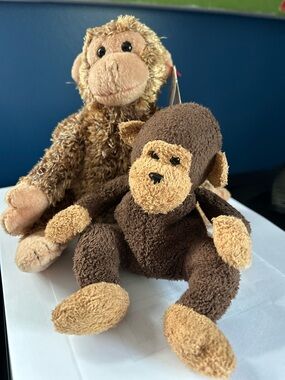 Ty Bonsai Monkey and his little friend